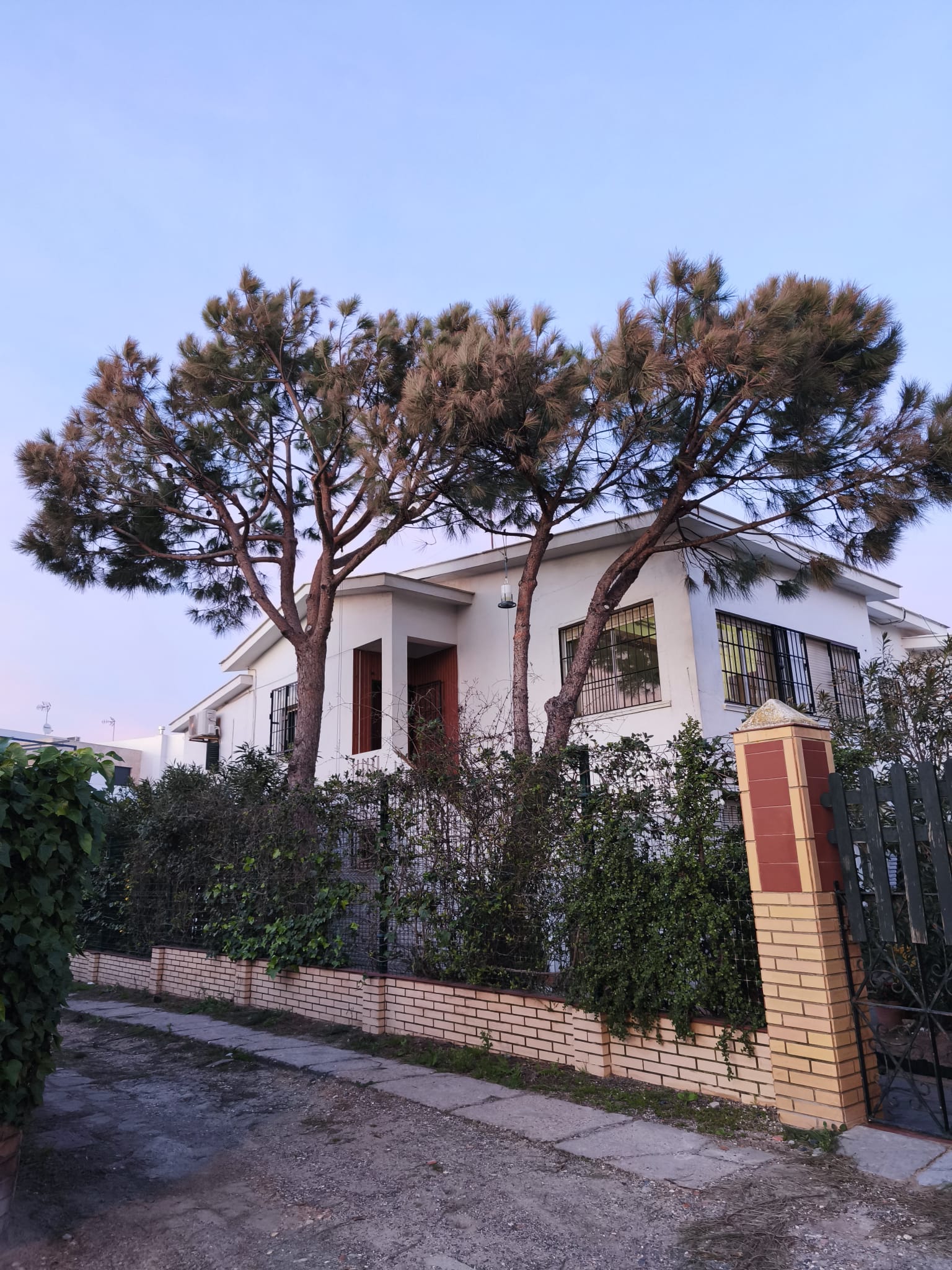 Trabajo de jardinería Clima Verde 3